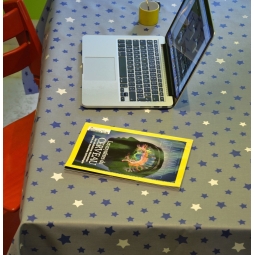 WIPE CLEAN TABLECLOTH STARS BLUE/GREY Fleur de Soleil