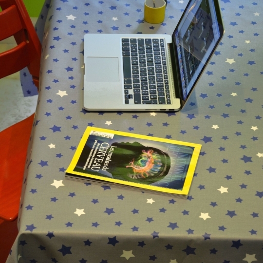 Tovaglia stella Antimacchia con stelle grigia/blu marino - Fleur de Soleil