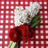 Tovaglia Antimacchia Guinguette rossa - Fleur de Soleil