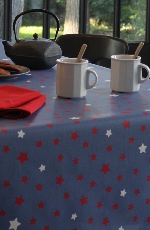 FLEUR DE SOLEIL OEKO TEX BAUMWOLLE METERWARE STERNS BLAU/ROT