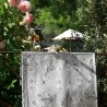 Chemin de table cerisier gris rose