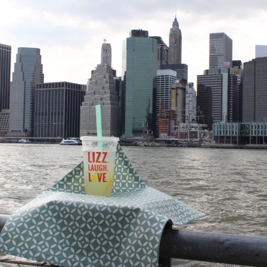 Wipe clean placemats Mosiac green