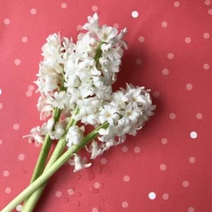 Coupon en coton enduit 50x80cm pois corail