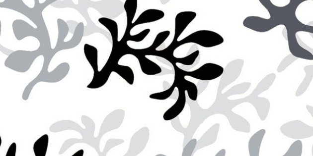 Nappe en coton enduit Corail gris