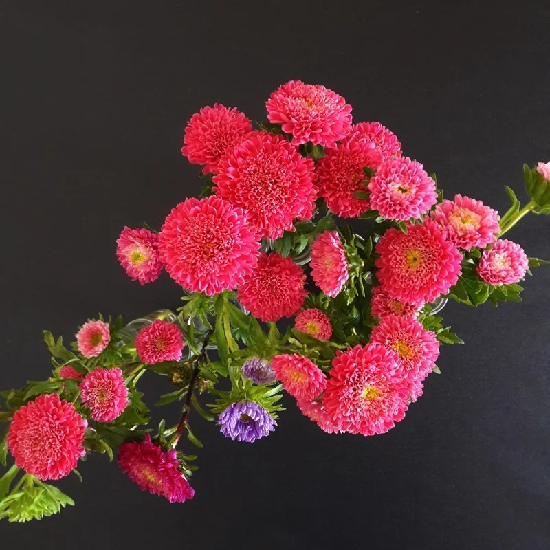 Wipe clean fabric Plain black