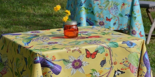 Nappe enduite Oiseaux turquoise