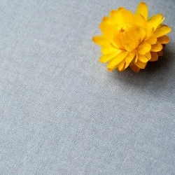 Tessuto di cotone Unito grigio - Fleur de Soleil