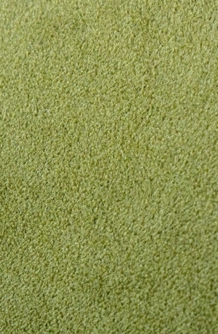 Coussin velours vert