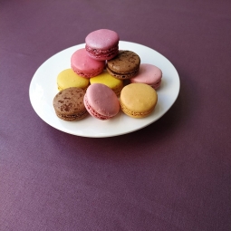  FLEUR DE SOLEIL OEKO TEX BAUMWOLLE METERWARE EINFARBIGE LILA