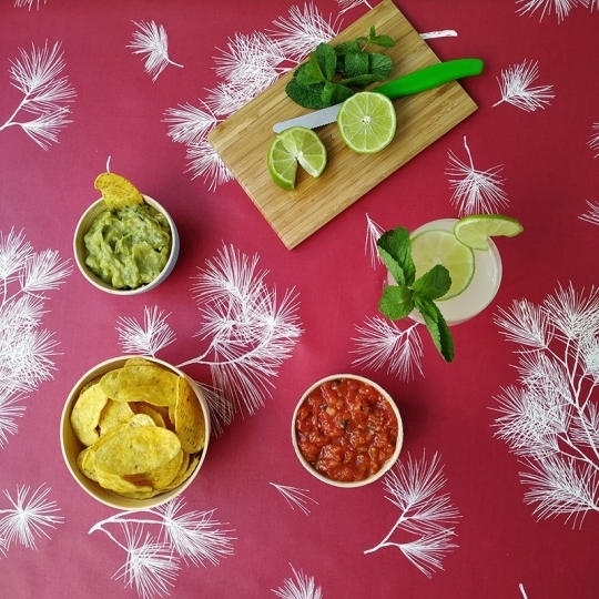 Tovaglia Antimacchia pigna rossa - Fleur de Soleil