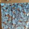 Tessuto di velluto a farfalla blu chiaro - Fleur de Soleil