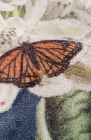 Tissus en velours singe perroquets bleu marine