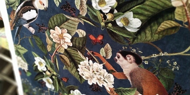 Tissus en velours singe perroquets bleu marine