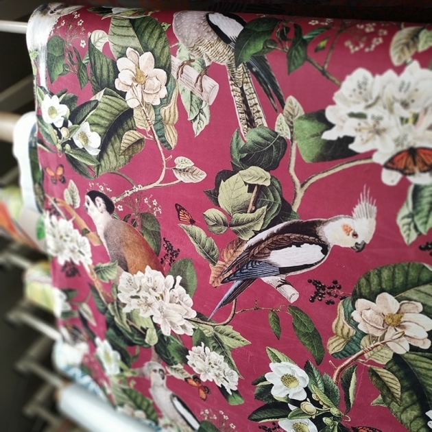 Navy blue parrot monkey velvet fabrics