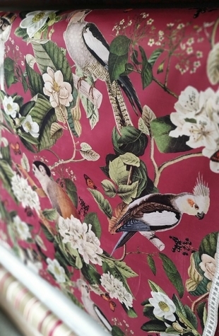 Navy blue parrot monkey velvet fabrics