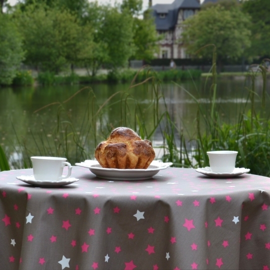 COATED TABLECLOTH STARS GREY/PINK Fleur de Soleil