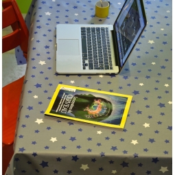 Beschichtete Baumwolle meterwarm Sterns grau/blau