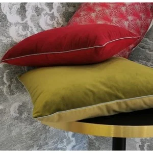 Coussin velours rouge / Bordeaux