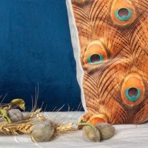 Coussin velours plumes paon orange
