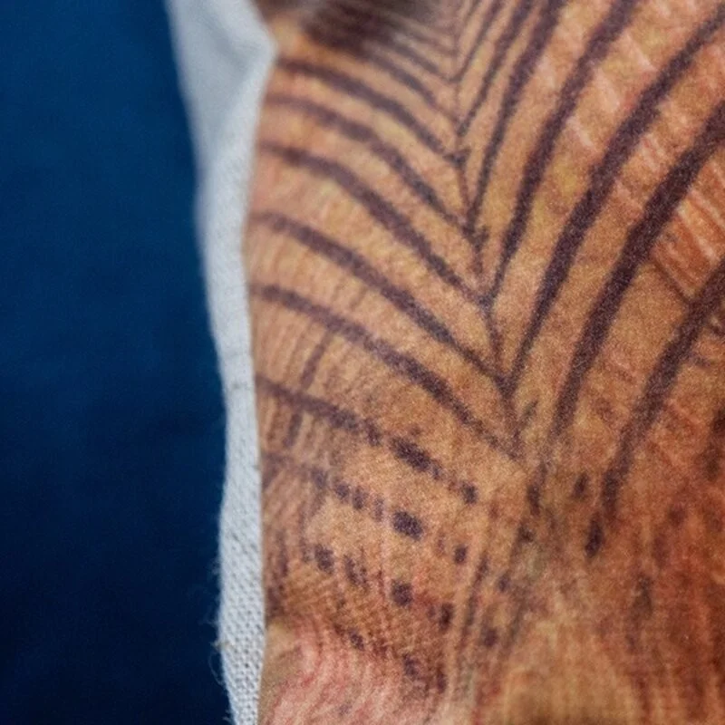 Coussin velours plumes paon orange