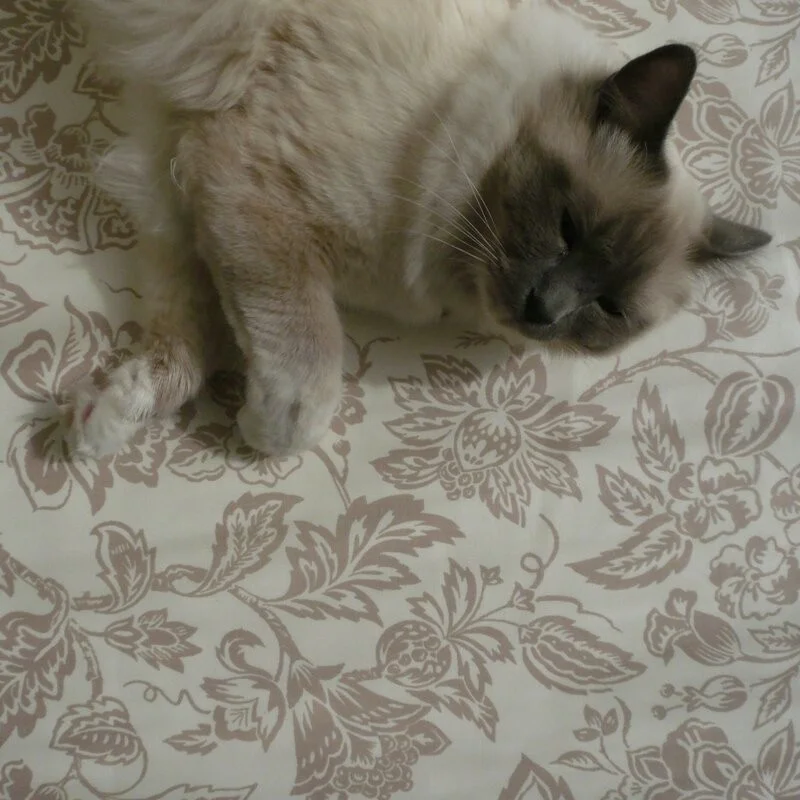 Nappe enduite Hortense lin