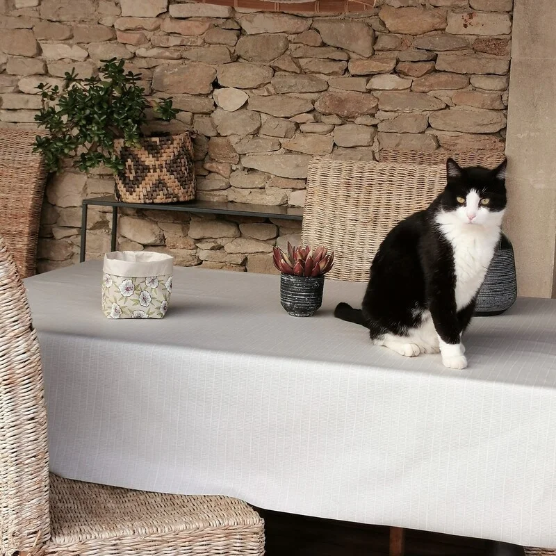 Tovaglia beige Bambù antimacchia