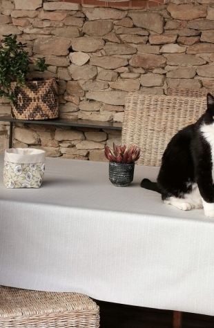 Tovaglia beige Bambù antimacchia