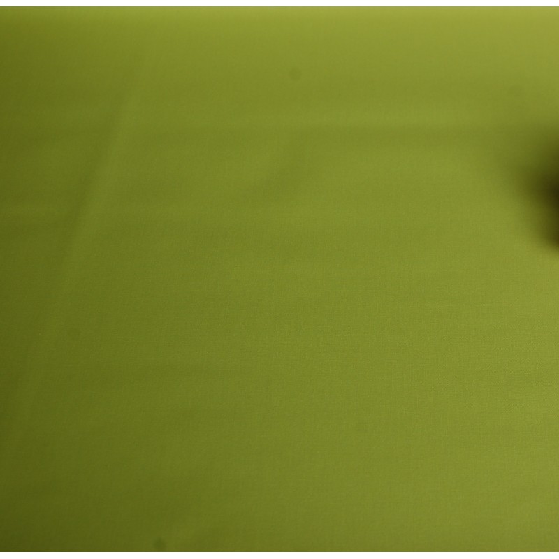 4 tovaglioli di Verde anice semplice