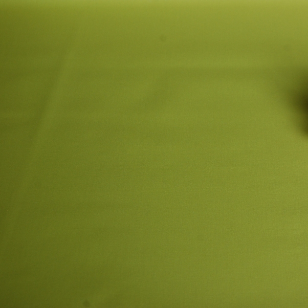 4 tovaglioli di Verde anice semplice