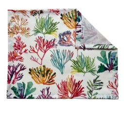 Wipe clean placemats Seaweed