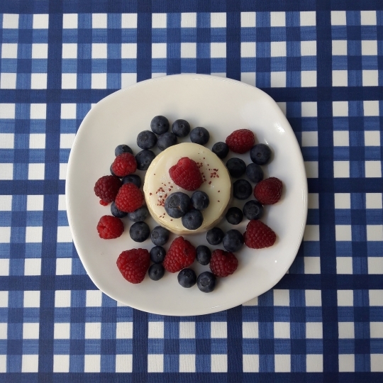 Cotton fabric Gingham blue