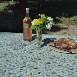 Wipe clean tablecloth Green...