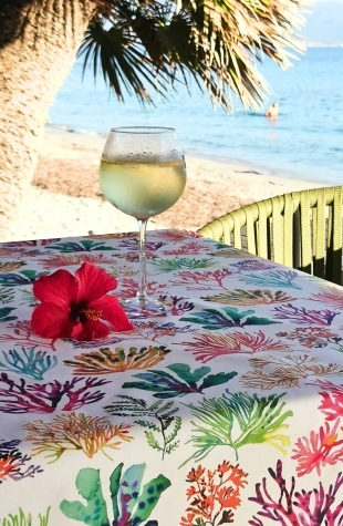 Nappe enduite algues marines