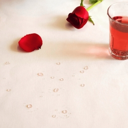 Wipe clean tablecloth Plain...