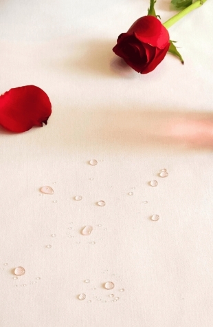 Nappe blanche ronde ou ovale enduite Fleur de Soleil