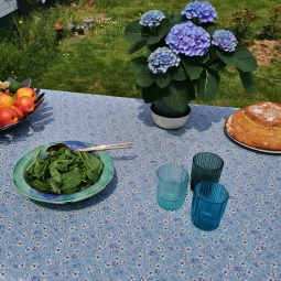 Tischsets blaues Gänseblümchen