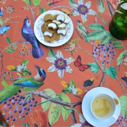 Tovaglietta Uccelli caramelli