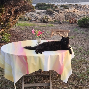 Nappe ronde enduite jaune