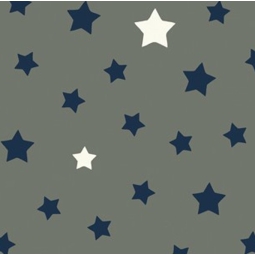 WIPE CLEAN FABRIC CUT STARS GRAY BLUE Fleur de Soleil