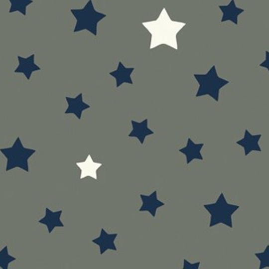  Tissu en coton enduit Etoile gris/bleu Fleur de Soleil