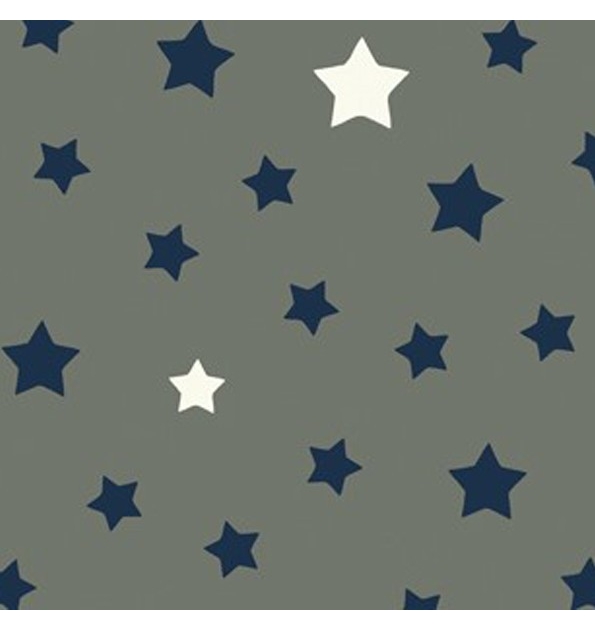  Tissu en coton enduit Etoile gris/bleu Fleur de Soleil
