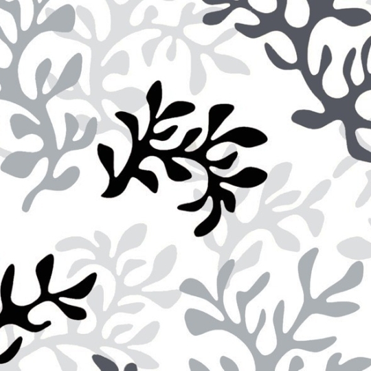  Tissu en coton enduit Corail gris Fleur de Soleil